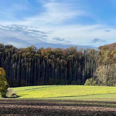Ferienhaus Kleine Auszeit In Der Natur Mit Kamin, Yogamatten, Schoene Kueche Extertal Eksteriør bilde