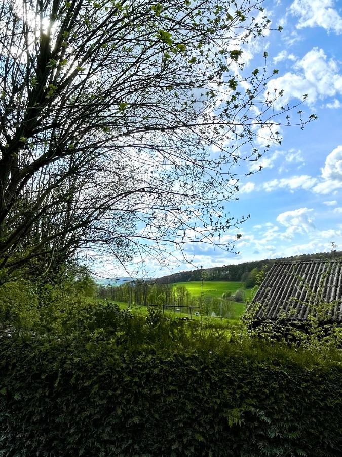 Ferienhaus Kleine Auszeit In Der Natur Mit Kamin, Yogamatten, Schoene Kueche Extertal Eksteriør bilde